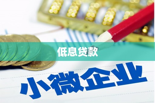 新蔡低息贷款