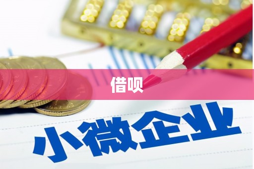 新蔡借呗