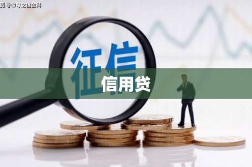 新蔡信用贷
