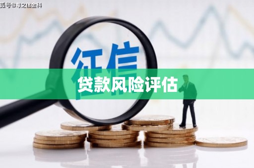 新蔡贷款风险评估