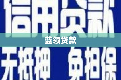 新蔡蓝领贷款
