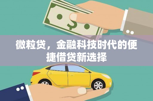 新蔡微粒贷，金融科技时代的便捷借贷新选择
