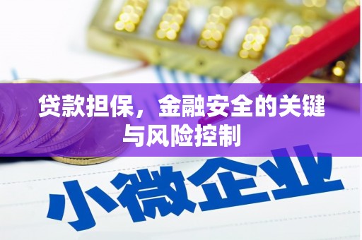 新蔡贷款担保，金融安全的关键与风险控制