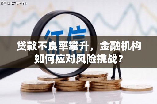 新蔡贷款不良率攀升，金融机构如何应对风险挑战？