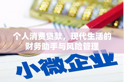 新蔡个人消费贷款，现代生活的财务助手与风险管理