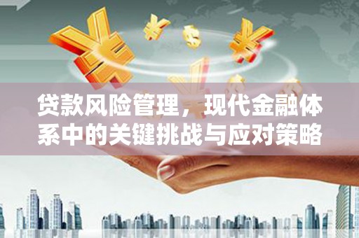 新蔡贷款风险管理，现代金融体系中的关键挑战与应对策略