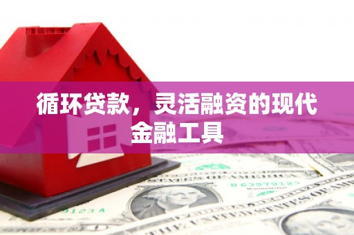 新蔡循环贷款，灵活融资的现代金融工具