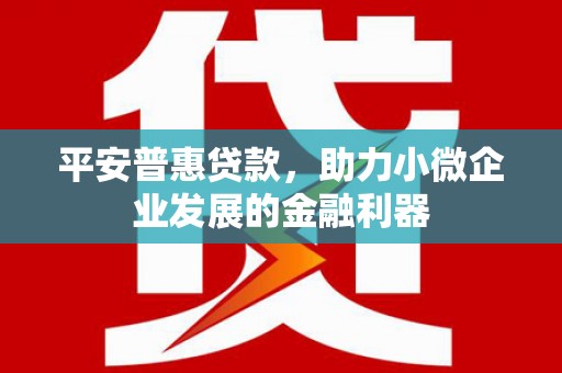 新蔡平安普惠贷款，助力小微企业发展的金融利器