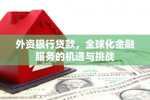 新蔡外资银行贷款，全球化金融服务的机遇与挑战