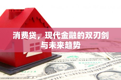 新蔡消费贷，现代金融的双刃剑与未来趋势