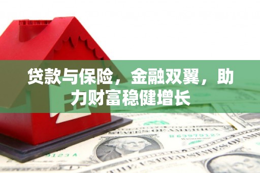 新蔡贷款与保险，金融双翼，助力财富稳健增长