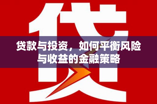 新蔡贷款与投资，如何平衡风险与收益的金融策略
