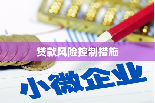 新蔡贷款风险控制措施