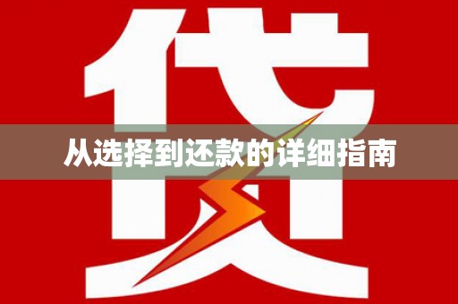 新蔡从选择到还款的详细指南