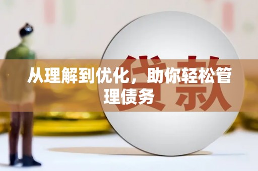 新蔡从理解到优化，助你轻松管理债务
