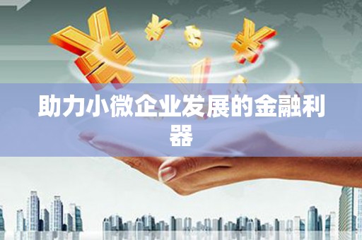 新蔡助力小微企业发展的金融利器