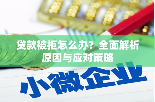 新蔡贷款被拒怎么办？全面解析原因与应对策略