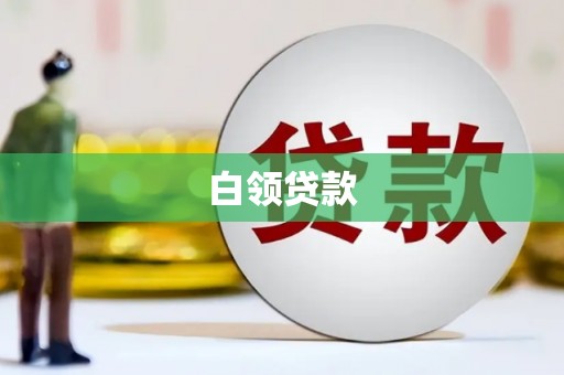 新蔡白领贷款