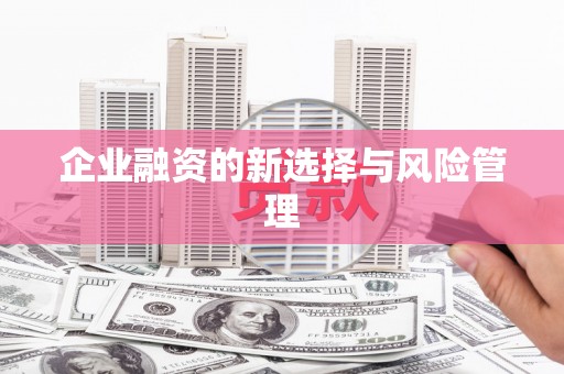 新蔡企业融资的新选择与风险管理