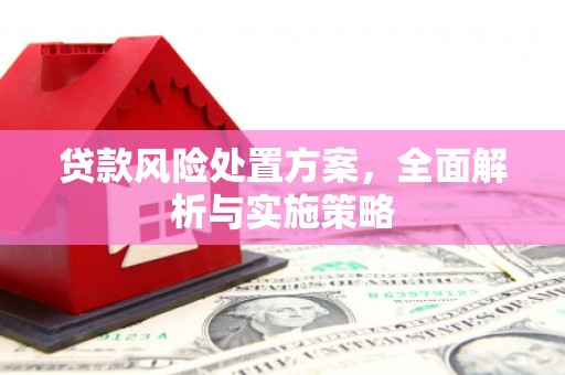 新蔡贷款风险处置方案，全面解析与实施策略