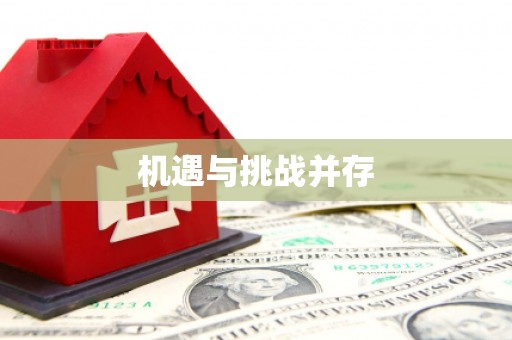 新蔡机遇与挑战并存