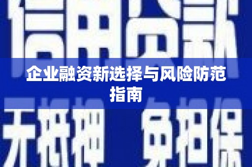 新蔡企业融资新选择与风险防范指南