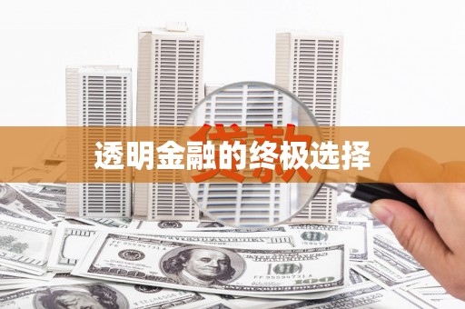 新蔡透明金融的终极选择