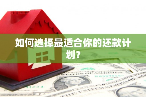 新蔡如何选择最适合你的还款计划？