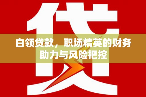 新蔡白领贷款，职场精英的财务助力与风险把控