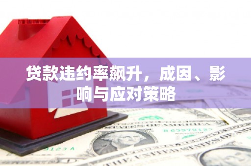 新蔡贷款违约率飙升，成因、影响与应对策略
