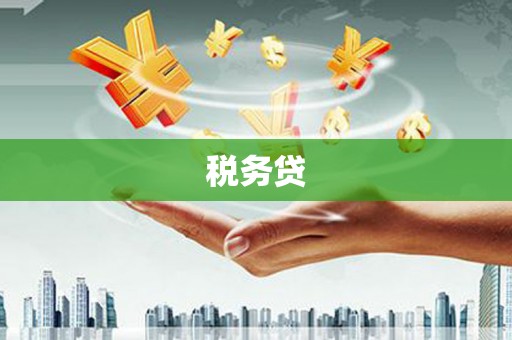 新蔡税务贷